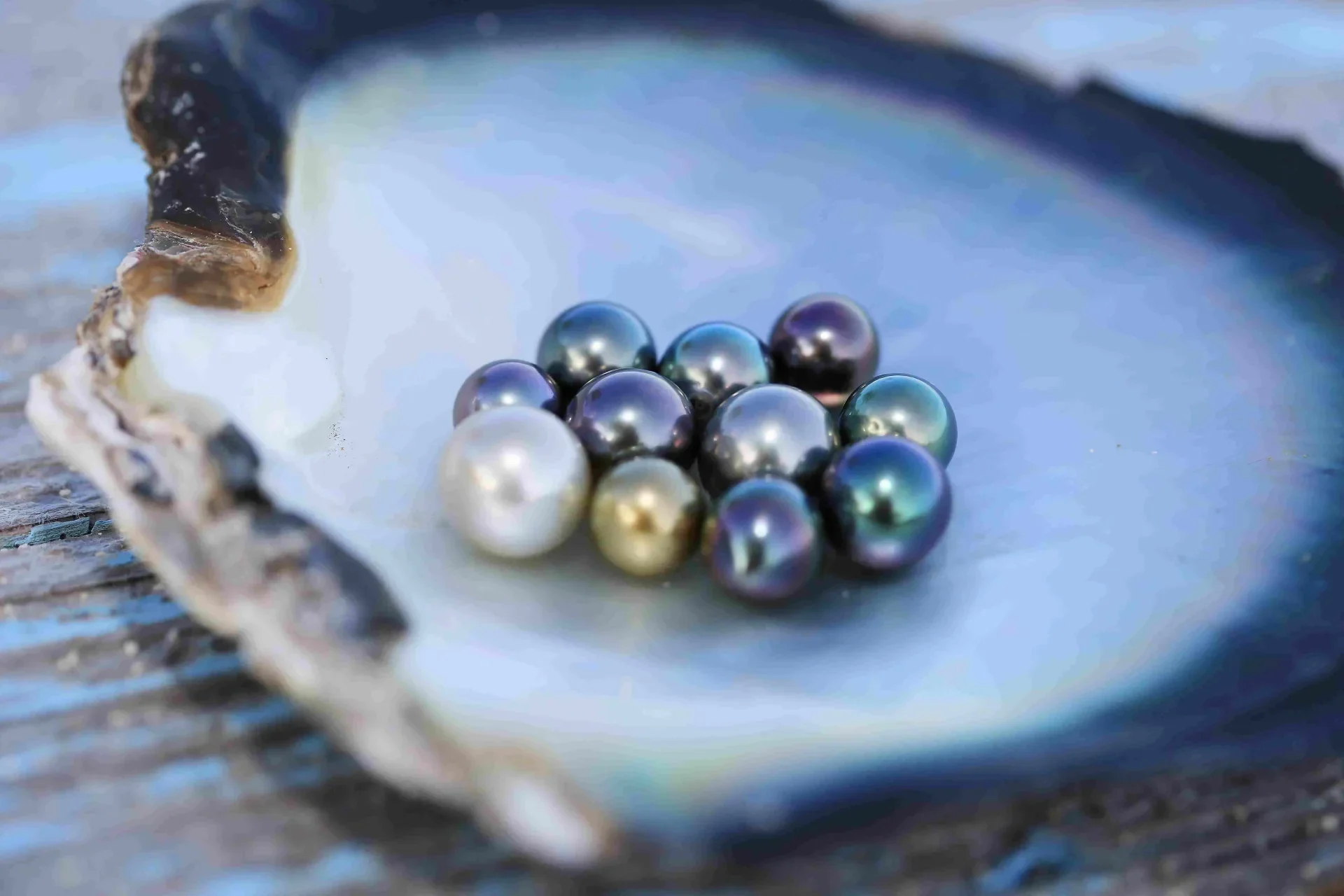 Perles noires célèbres de Tahiti, Rangiroa, Français Polynésie