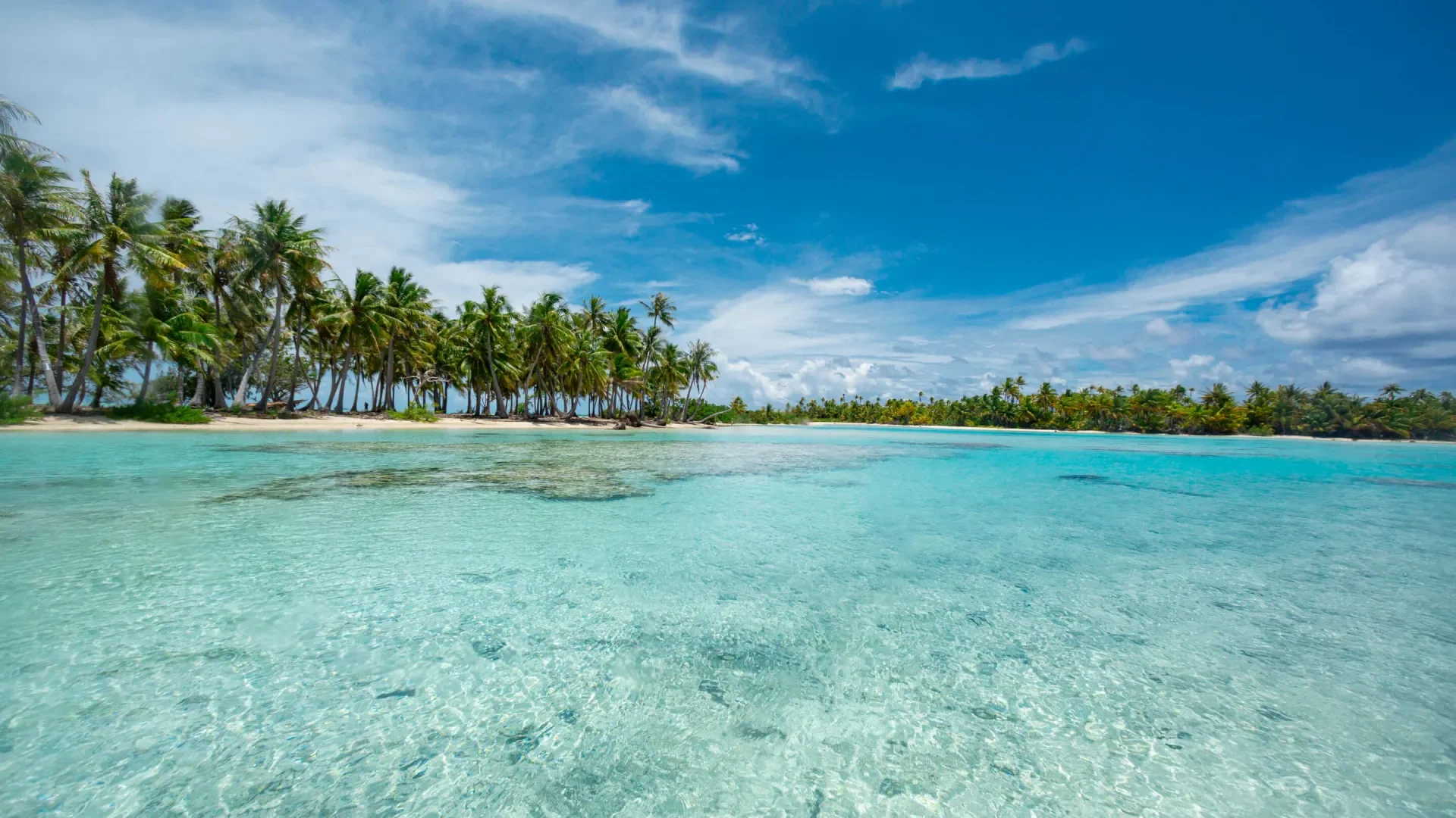 Vue sur le lagon de Fakarava ©_Grégoire Le Bacon