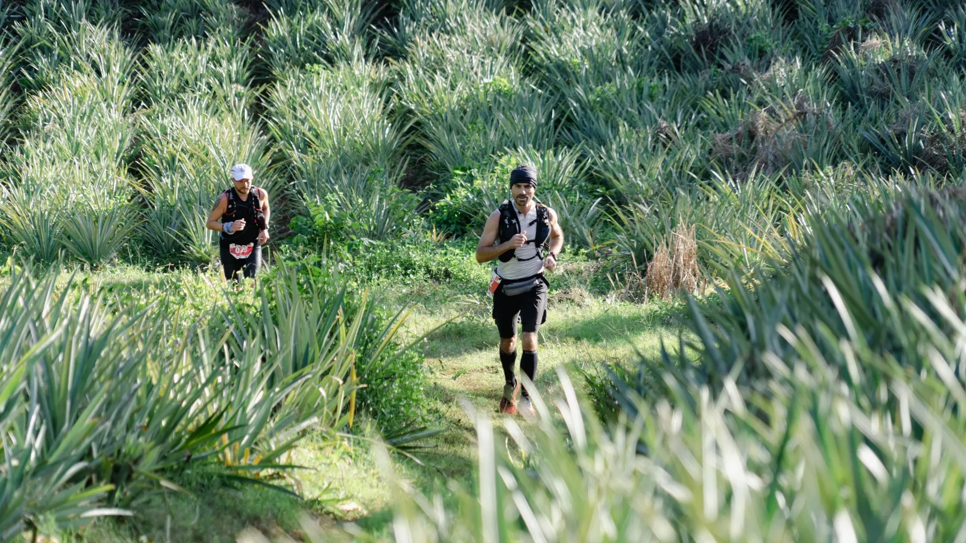 XTerra Trail