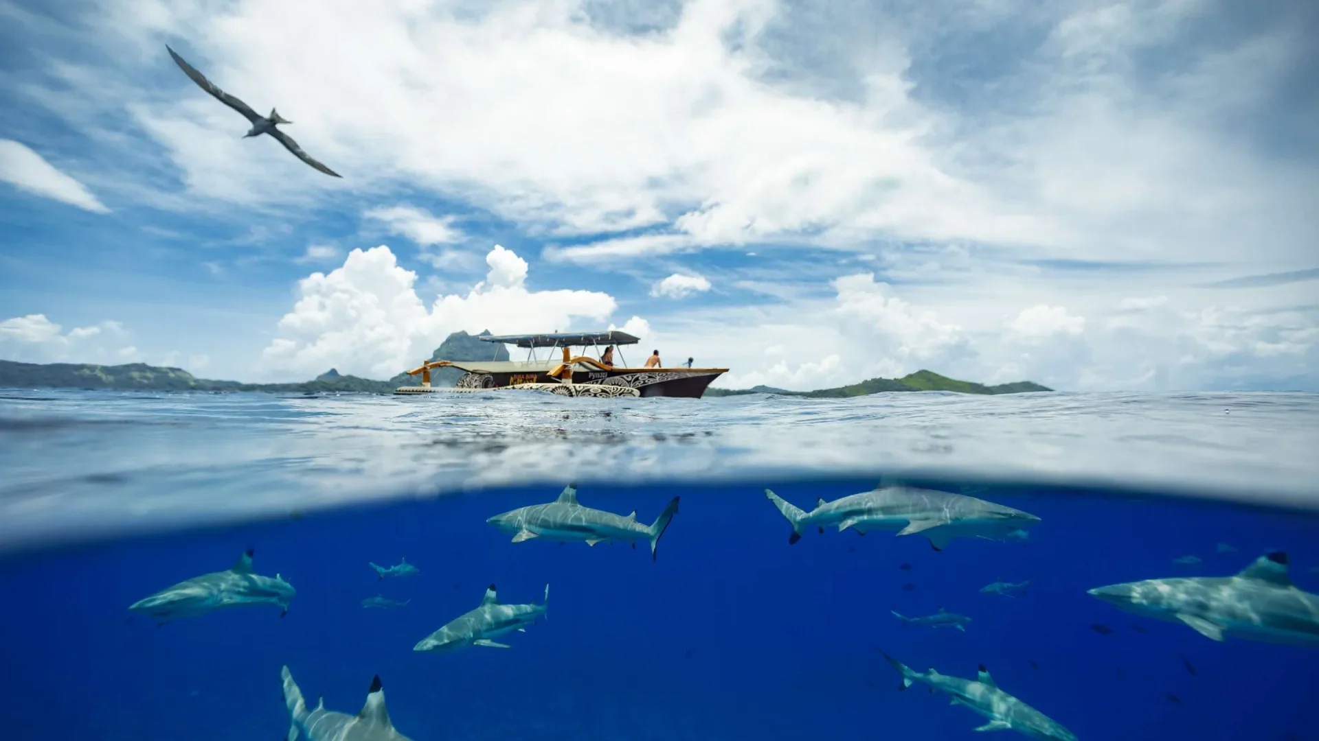 tour en pirogue privé sur le lagon de bora bora pour explorer les fonds marins © Grégoire Le Bacon