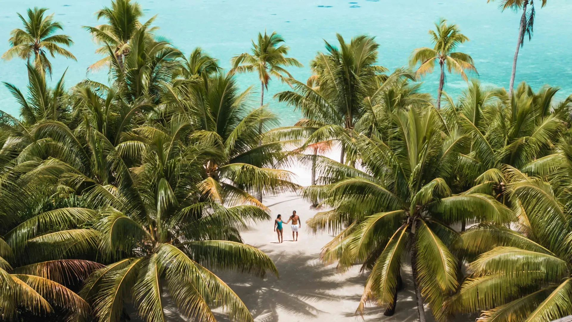 Hotel The brando in Tetiaroa © Jeremy Austiin