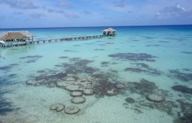 SOCIETE et TUAMOTU : 2 archipels à découvrir en Polynésie