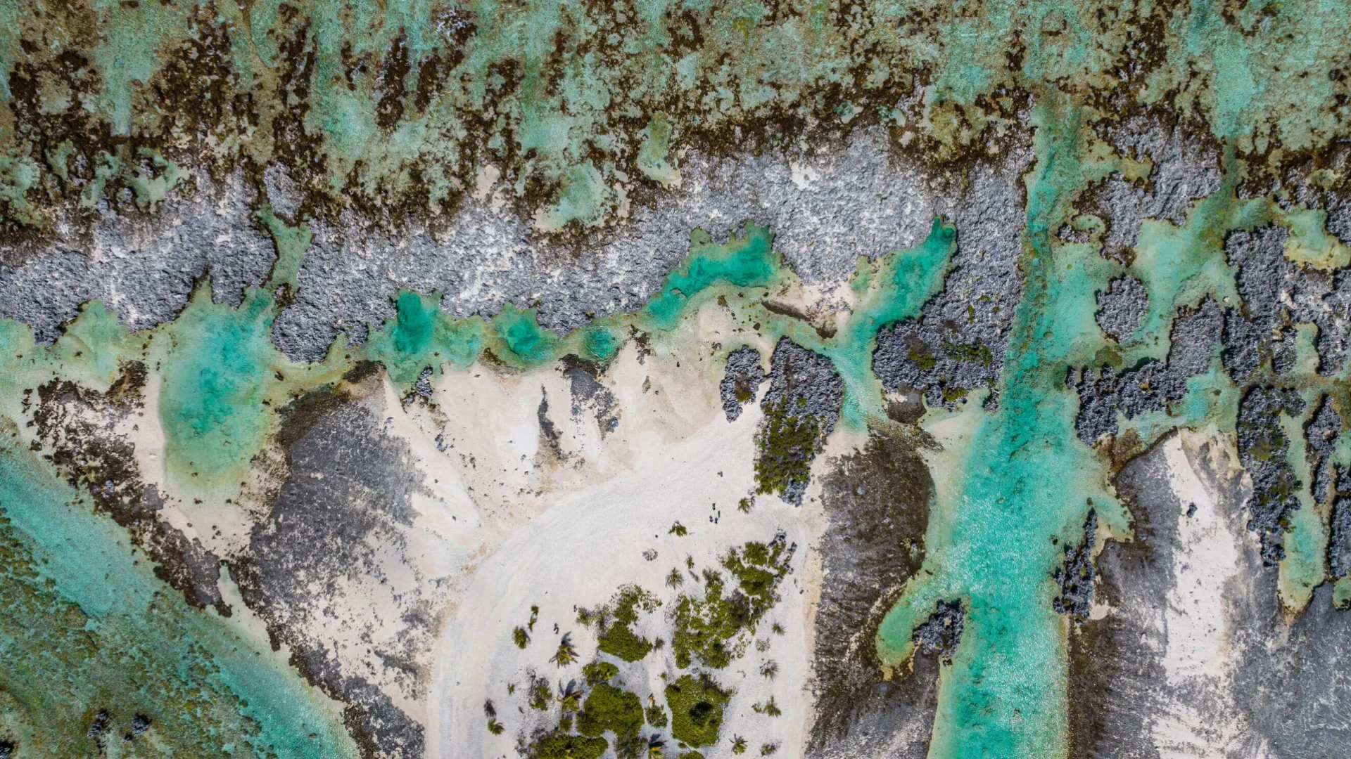 Récifs coraliens de Rangiroa ©_Michael Runkel