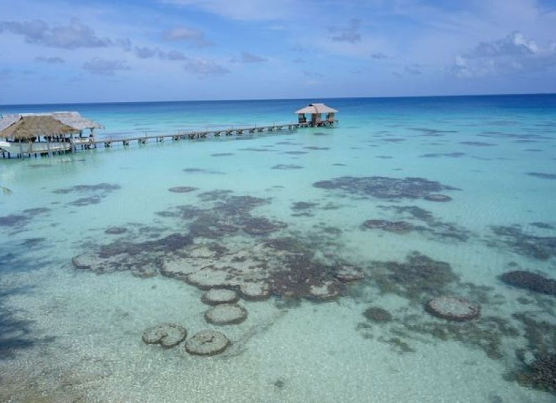 SOCIETE et TUAMOTU : 2 archipels à découvrir en Polynésie