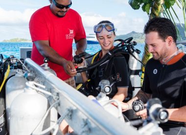 Exploration Sous-Marine dans les Joyaux Polynésiens