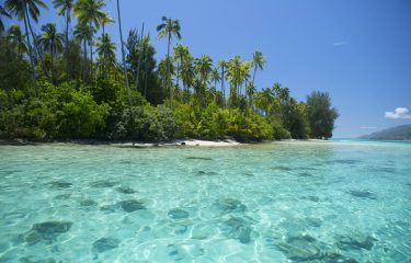 Le Test de l’Accueil à Tahiti Et Ses Îles