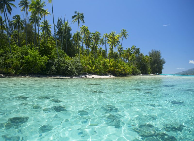 A la découverte des Marquises et des plus beaux lagons Polynésiens : Tahiti, Nuku Hiva, Hiva Oa, Huahine, Tahaa et Bora Bora