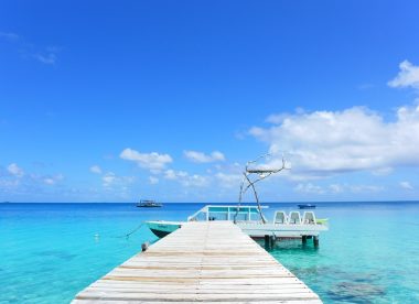 Plongées dans les plus beaux fonds marins du Pacifique Sud