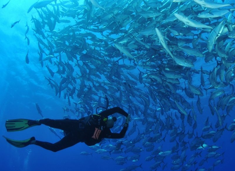 Séjour plongée 3 atolls aux Tuamotu