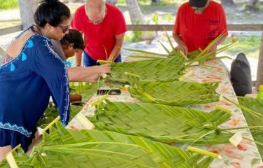 Combiné 4 îles en Pensions de famille