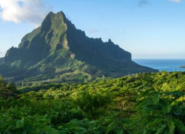 Combiné 7 îles Marquises, Société Et Tuamotu