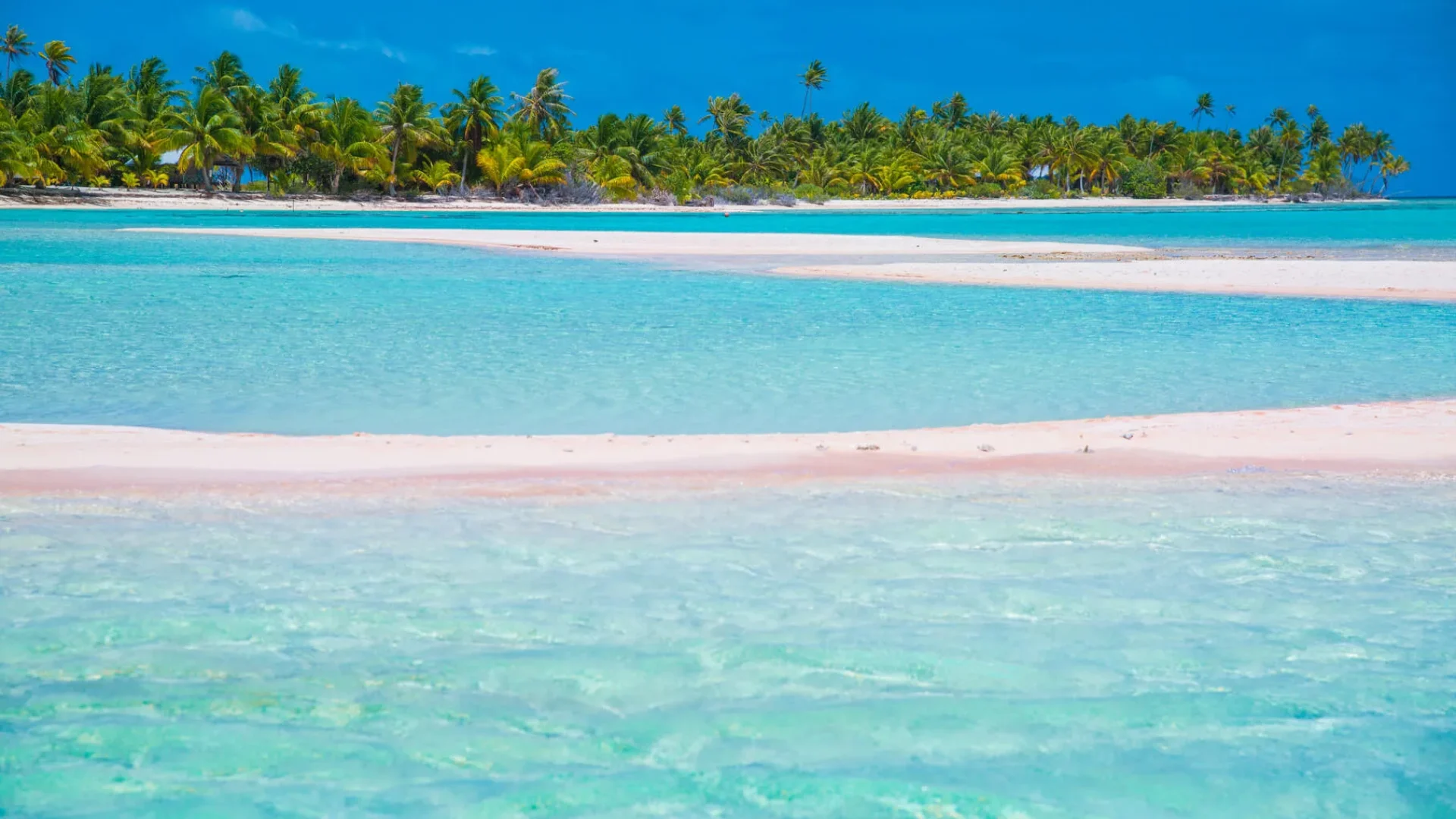 Une plage de sable rose, typique de Tikehau © Lei Tao