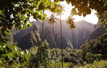 LA POLYNESIE AU FIL DE L’EAU