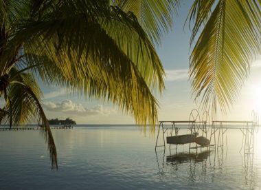 Combiné 5 îles : Archipel de la Socièté et Plongée Aux Tuamotu