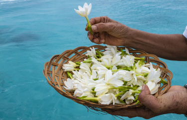 Bienvenue à Tahiti