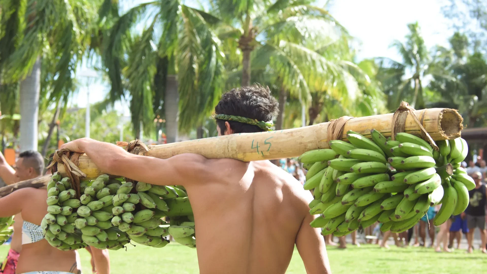 Porteur de fruits de dos avec des régimes de bananes © Teriitua Maoni