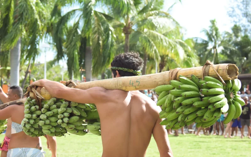 Porteur de fruits de dos avec des régimes de bananes © Teriitua Maoni