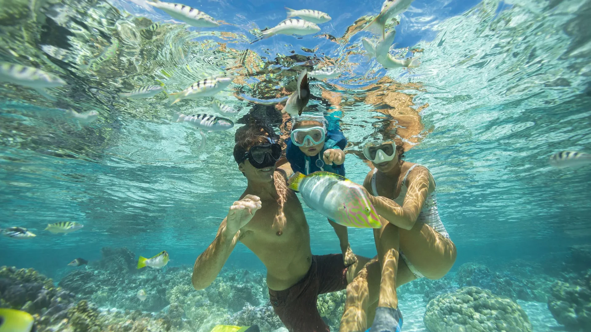 Plongée en famille dans le lagon de Taha'a © Grégoire Le Bacon