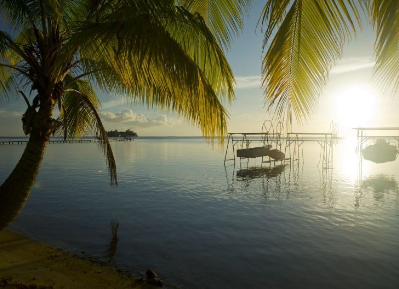 Les Essentiels et les Îles Secrètes