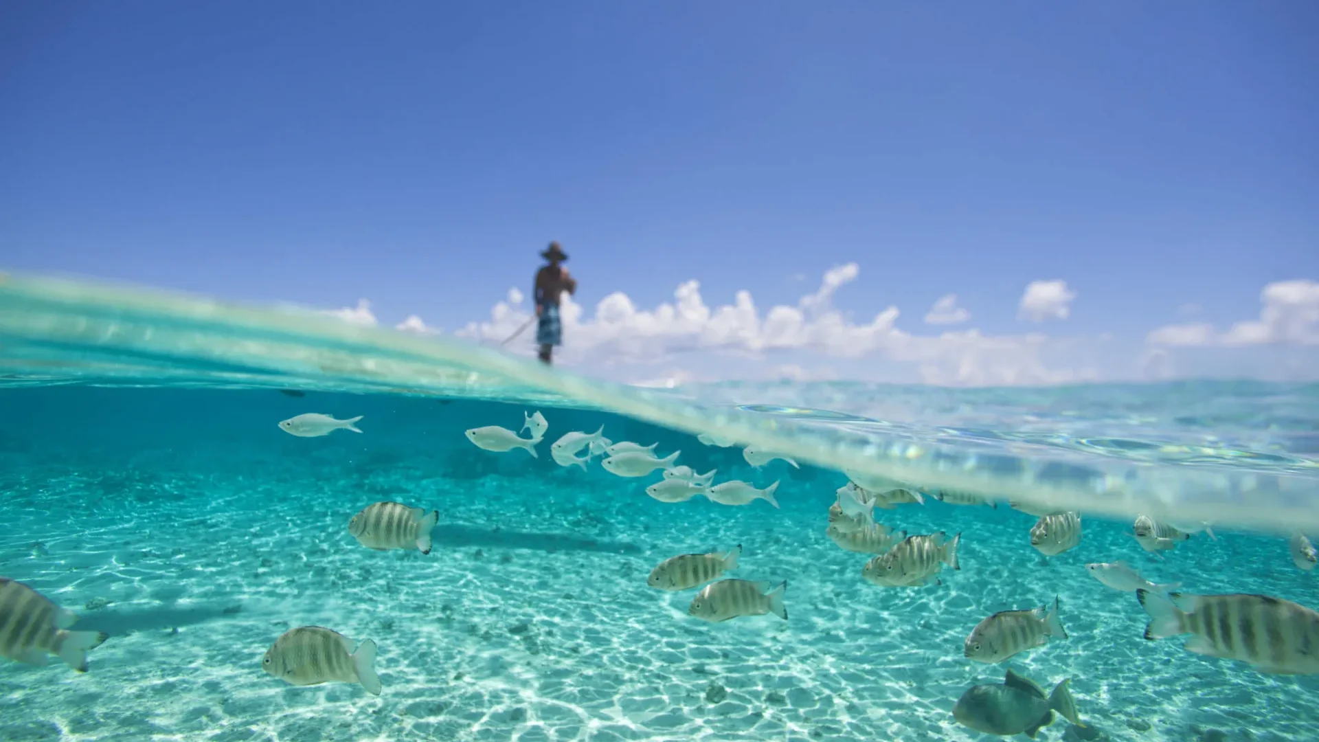 Faire du paddle sur le lagon c Tahiti Tourisme