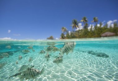 Combiné îles de la Société – Tuamotu : Ia Ora Na !