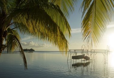 Combiné 5 îles : Archipel de la Socièté et Plongée Aux Tuamotu