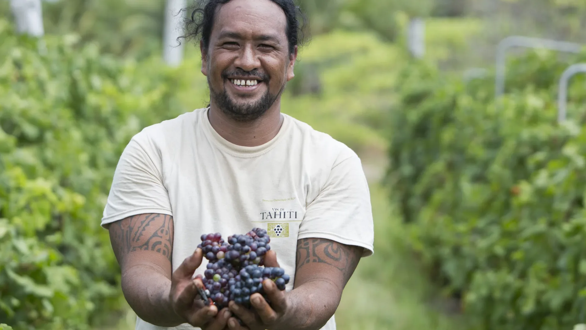 Rangiroa wine is produced from vines grown directly on the island © Grégoire Le Bacon