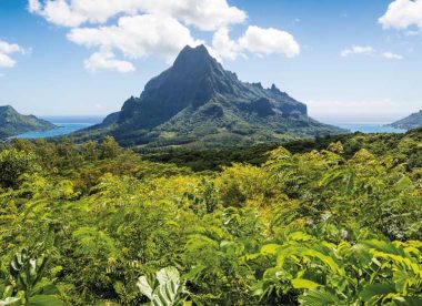 Divine Polynésie, de Tahiti à Bora Bora | Circuit en Polynésie avec Salaün Holidays