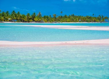 Plongée 3 Atolls : Tikehau, Rangiroa et Fakarava